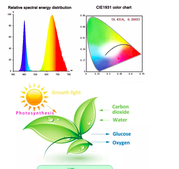 Led para Cultivo (100w) Lámpara de Cultivo Interior