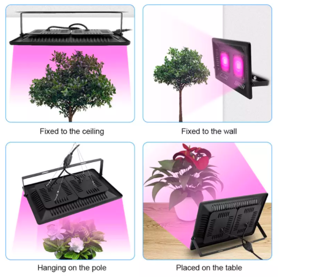 Led para Cultivo (100w) Lámpara de Cultivo Interior