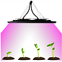 Led para Cultivo (100w) Lámpara de Cultivo Interior